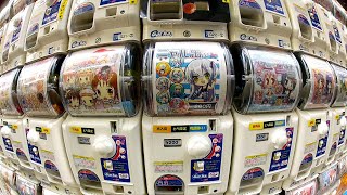 Gachapon Capsule Toy Adventure in Akihabara [upl. by Mcginnis]