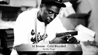 Lil Boosie  Cold Blooded Official Video [upl. by Hausner]