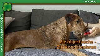 Zielobjektsuche für den Hund  Übung 1 das Ziel konditionieren [upl. by Ahsiyk]