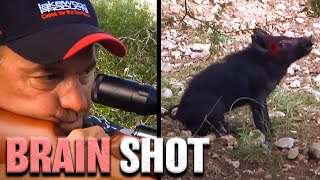 Hog Hunt With Airgun HD  GAMO Hunter Extreme 25 caliber [upl. by Nugesulo]