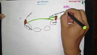 How to Remember Hand Muscle Name  Upper Limb Anatomy  TCML [upl. by Marylou979]