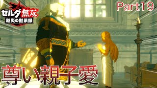 【ゲーム実況】敵同士の協力体制なんて胸熱じゃん Part19【ゼルダ無双 厄災の黙示録】 [upl. by Lseil469]