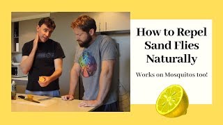 How to Repel Sand Flies  Natural Sandfly amp NoSeeUm Repellent [upl. by Olpe297]