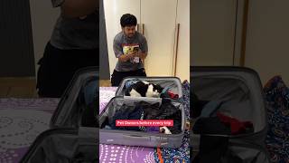 Pet Owners Before Every Trip ✈️🥺🥰🤣 pet cats affection cute comedy vines trip dubai airport [upl. by Airenahs]