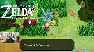 The Legend of Zelda Echoes of Wisdom Switch  JJOR64 plays Nintendo Switch [upl. by Dearden772]