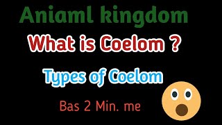 Animal kingdom Coelom NEET AIIMS [upl. by Bardo915]