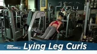 Lying Leg Curls  Leg Exercise  Bodybuildingcom [upl. by Arihsat223]