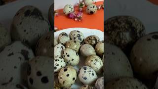 Quail Egg Boiling Made Simple Easy Tips for Perfect Peeling [upl. by Ortiz]