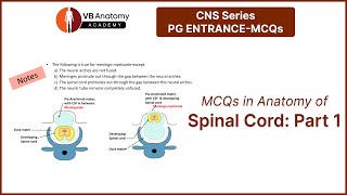 MCQ in Anatomy of Spinal cord Part 1 [upl. by Koeninger]