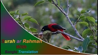 Surah ar Rahman full  মন জুড়ানো সুরে সূরা আর রহমান আরবিবাংলা [upl. by Fryd418]