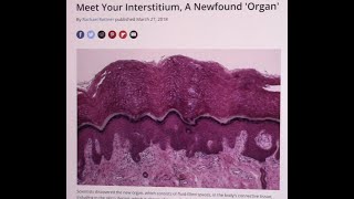 New Organ Discovered in the Human Body [upl. by Anaib]