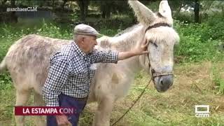 Labores del campo a la antigua usanza [upl. by Peltier]