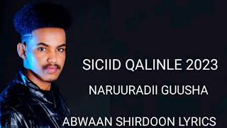 SICIID QALINLE HEES CUSUB NARUURADA GUUSHA 2023 OFFICIAL VIDEO [upl. by Kcin]