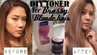 DIY HAIR TONER for Brassy Blonde Hair DEMO  shereezyxo [upl. by Moir]