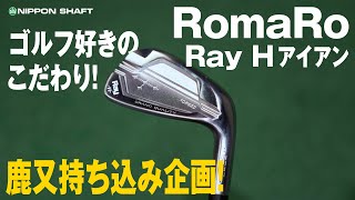 鹿又ガチで使いたいパーツブランド！RomaRo Ray Hアイアン！【検証】 [upl. by Rego]