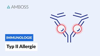 Antikörpervermittelte zytotoxische Reaktion  Typ II Allergie  Biochemie  AMBOSS Video [upl. by Nogem]