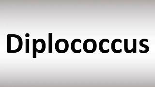 How to Pronounce Diplococcus [upl. by Nona301]