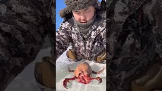 permafrost winter outdoorcooking cooking bushcooking bushcraft 🥶❄️🌨️☃️🍗🥩🦆 [upl. by Ahsaet270]