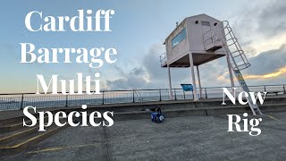 Cardiff Barrage Multi Species Catching Bristol Channel Using The Bagnall Bar Rig [upl. by Zicarelli]