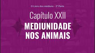 Capítulo XXII  Parte 2  MEDIUNIDADE NOS ANIMAIS  Audiobook de quotO Livro dos médiunsquot [upl. by Ynnob999]