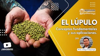 El Lúpulo ingrediente clave para el amargor sabor y aroma de tu cerveza artesanal [upl. by Ceevah420]