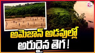 Worlds Most Isolated Tribe  ఆహారం కోసం బయటకు వచ్చి కెమెరాకు చిక్కిన అరుదైన తెగ [upl. by Yffub842]