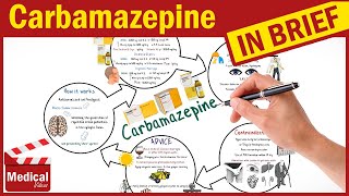 Carbamazepine Tegretol What is Carbamazepine Uses Dosage Side Effects Mechanism of Action [upl. by Assirolc]