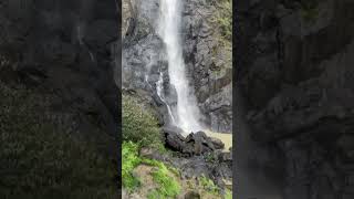 EllenBorough Falls Australia so cool D 🥳 [upl. by Karlen644]