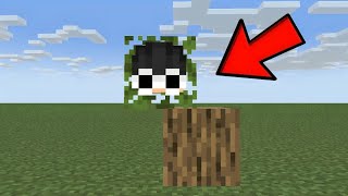 I Shapeshift to Cheat in Minecraft Hide and Seek [upl. by Akalam7]