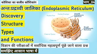 Endoplasmic Reticulum अन्तः प्रद्रव्यी जालिकाDiscovery StructureType and function Part04 [upl. by Simeon503]