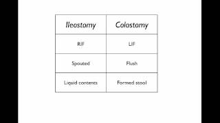 Stomas What they are and how to tell them apart [upl. by Evangelia171]