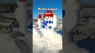 Worlds largest ice and snow festivalHarbin 🇨🇳 shorts [upl. by Dohsar]