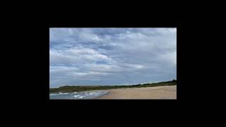 冬天的悉尼Maroubra beach in the Sydney Australia [upl. by Natasha]