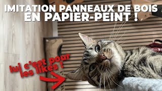 Poser un papier peint imitation panneaux de bois  TROP FACILE [upl. by Adias]