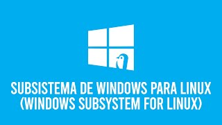 Habilitar WSL Windows Subsistem For Linux En Windows 10  11 [upl. by O'Neil]