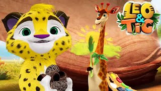 LEO and TIG 🦁 🐯 The Colors of Africa 🌈 NEW EPISODE 💚 Moolt Kids Toons Happy Bear [upl. by Mikkel215]