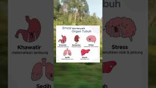 Emosi mempengaruhi organ  Jangan lupa support dengan like subscribe amp share guys emosi faktaunik [upl. by Timothy]