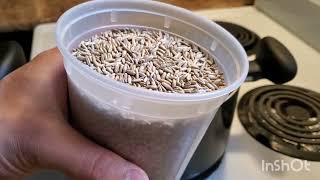 How to make grain spawn using the instant pot [upl. by Elisabeth]