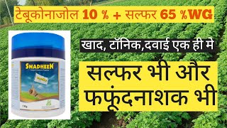 Exel swadhin fungicide contact amp systematic fungicide use in hindi viral [upl. by Eneres]