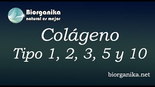 COLAGENO TIPO 1 2 3 5 y 10 [upl. by Bryn535]