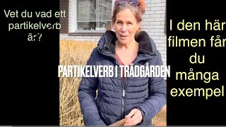 How to learn swedish  PARTIKELVERB Här visar jag med kroppen Här nedan kan du ladda ner verben [upl. by Honorine]