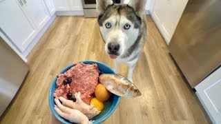 What Feeding Raw Breakfast Every Morning Looks Like With My Husky [upl. by Aihseya520]