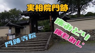 【そうだ京都、巡ろう】実相院門跡を参拝させていただきました [upl. by Harriett]