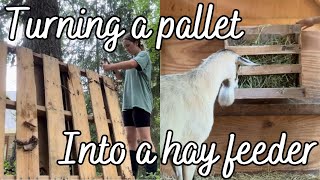 DIY Hay Feeder for Goats  Turning a Pallet into a Hay Feeder  FREE Hay Feeder Tutorial [upl. by Rafaelle]