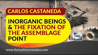 Carlos Castaneda Inorganic Beings And The Fixation Of The Assemblage Point [upl. by Atiekan]