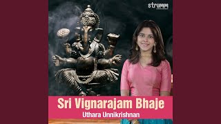 Sri Vignarajam Bhaje [upl. by Bourne317]