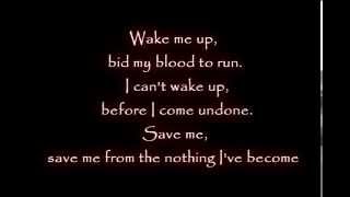 Evanescence Amy Lee Wake me up Inside Lyrics [upl. by Ycniuqal]