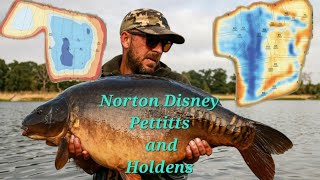 Norton Disney Pettitts And Holdens catches carpfishing embryonortondisney [upl. by Arymas119]