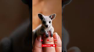 Little cute baby kangaroo fyp dance cuteanimal shortsviral youtubeshorts funk ai shortsfeed [upl. by Ahsaercal]