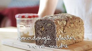 HOW TO Sourdough Starter  Masa madre [upl. by Pihc]